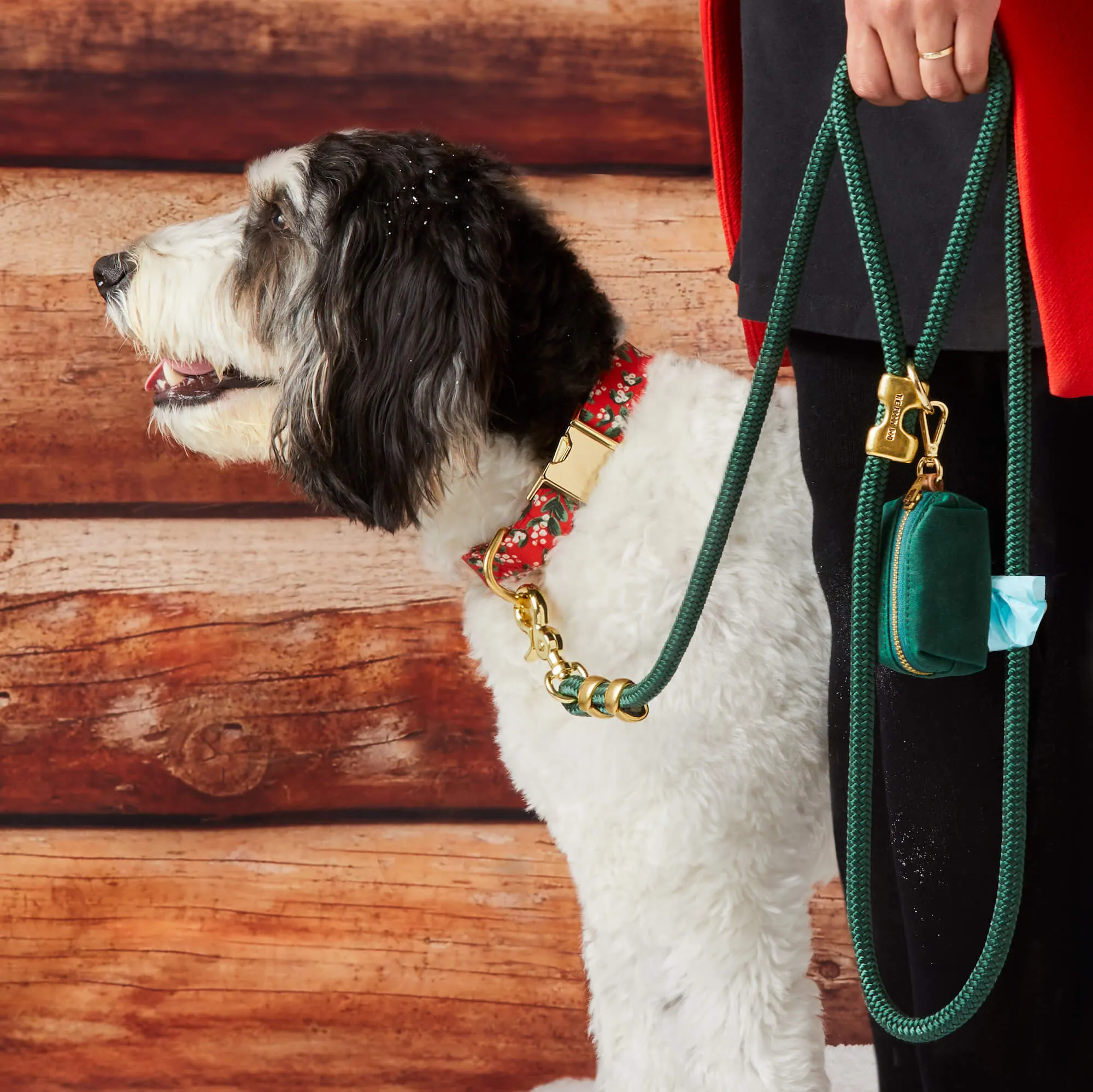 Evergreen Marine Rope Dog Leash