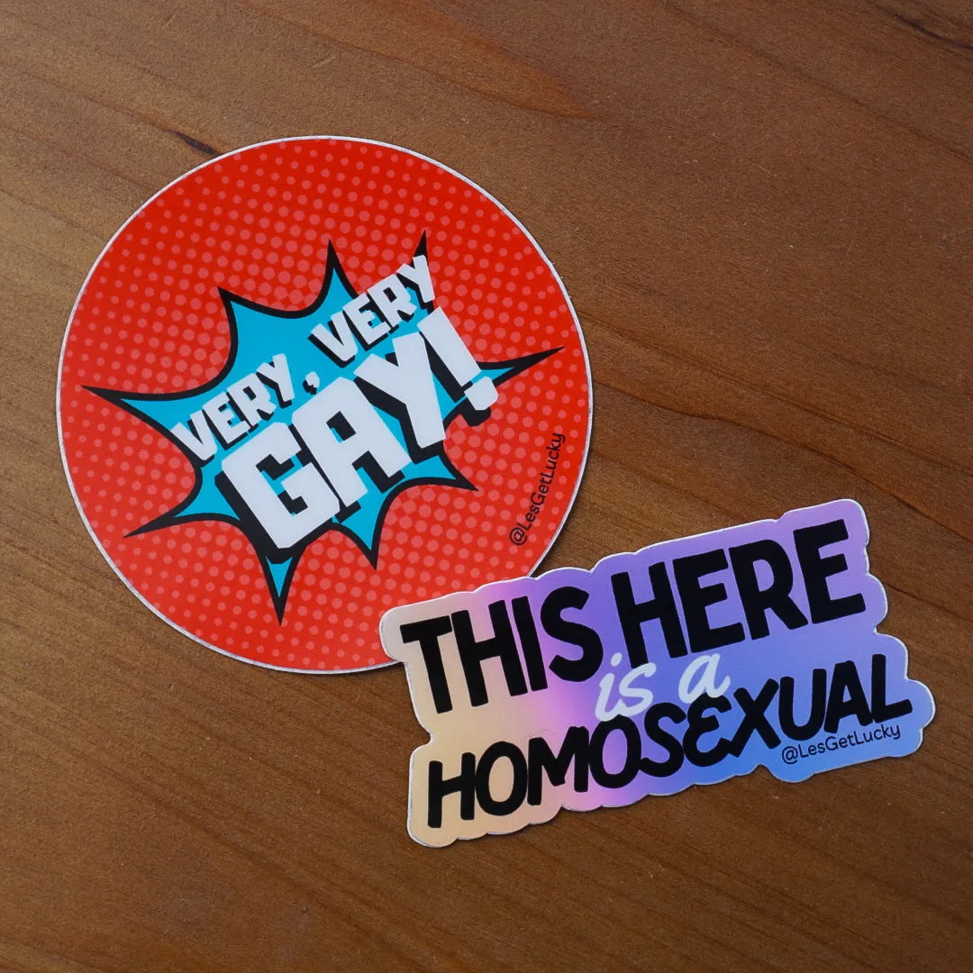 Gay Pride Sticker Mini Bundle | LGBTQ  Vinyl Stickers | Pride Accessories